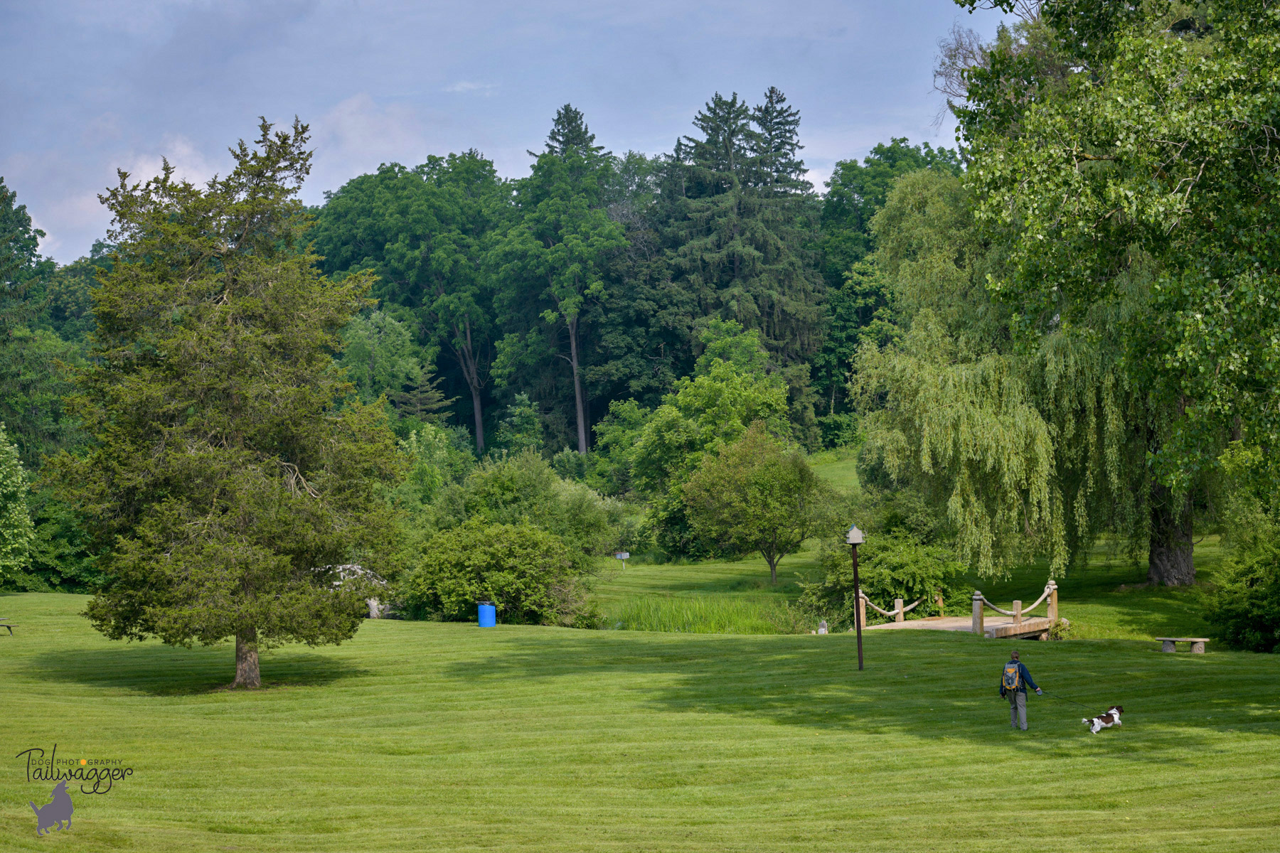 Front part of McCourtie Park Hillsdale County, Michigan.