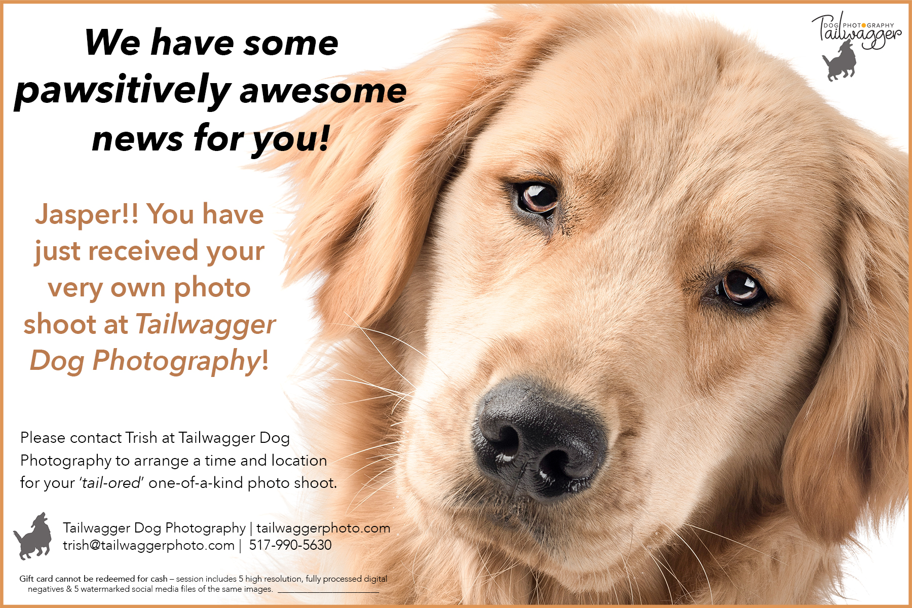 Promo of Tailwagger Pet Photography for a grift card.