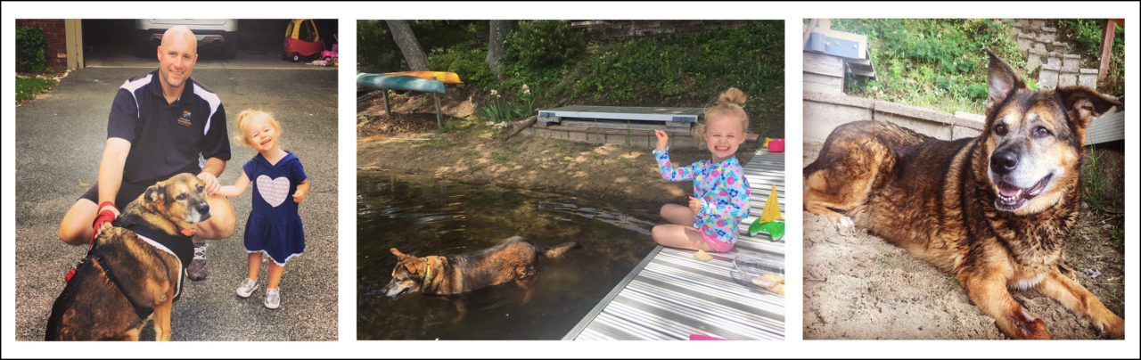 Three photos of Frankland family with dog.