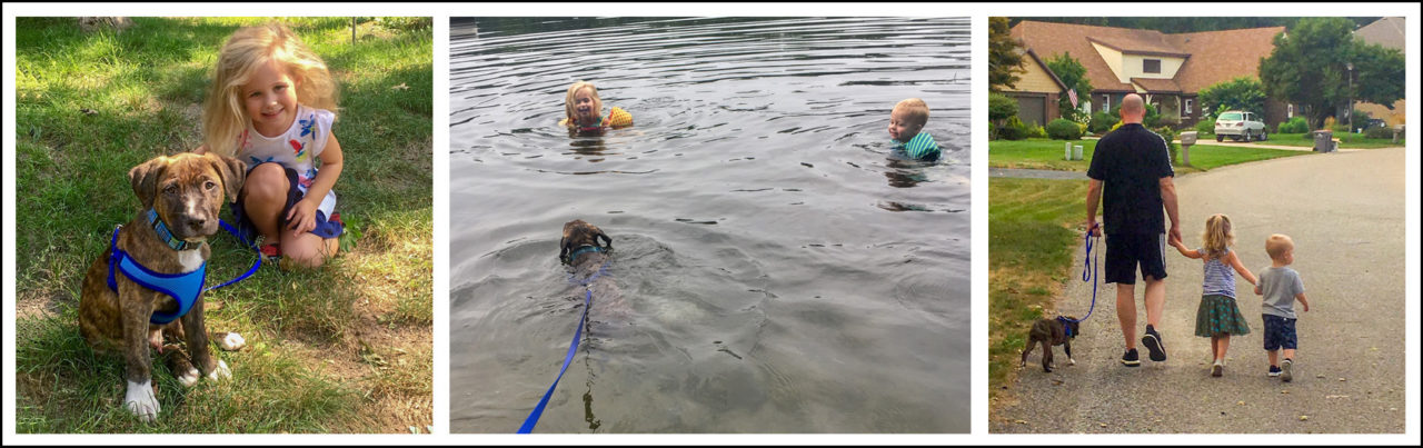 Frankland family swimming, playing with puppy.