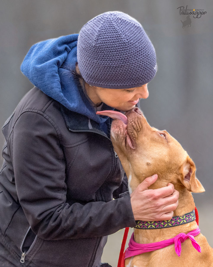 An American Staffordshire gives her trainer a big kiss.