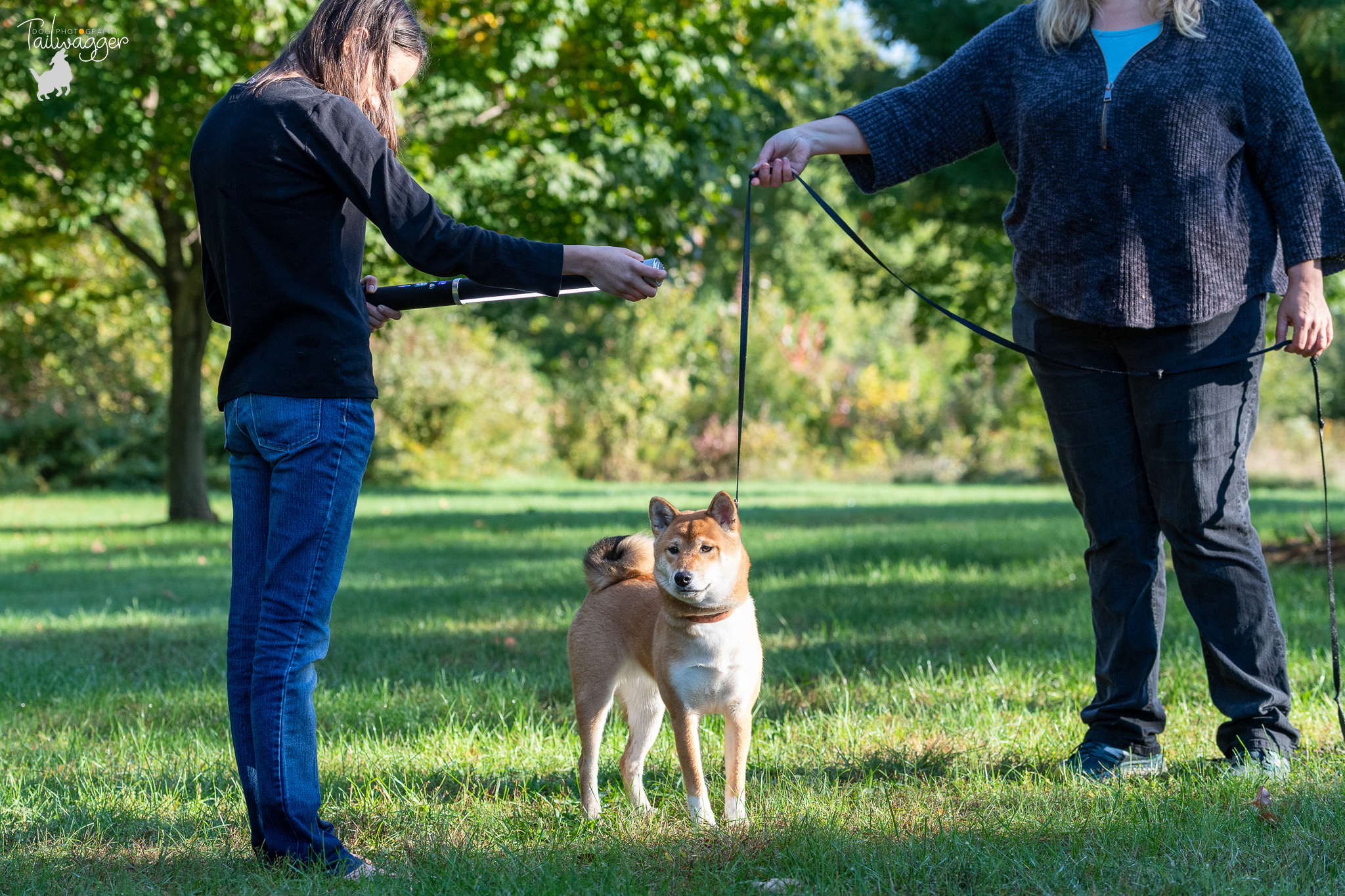 Two people help with a dog photo session at Johnson Park in grand Rapids, MI.