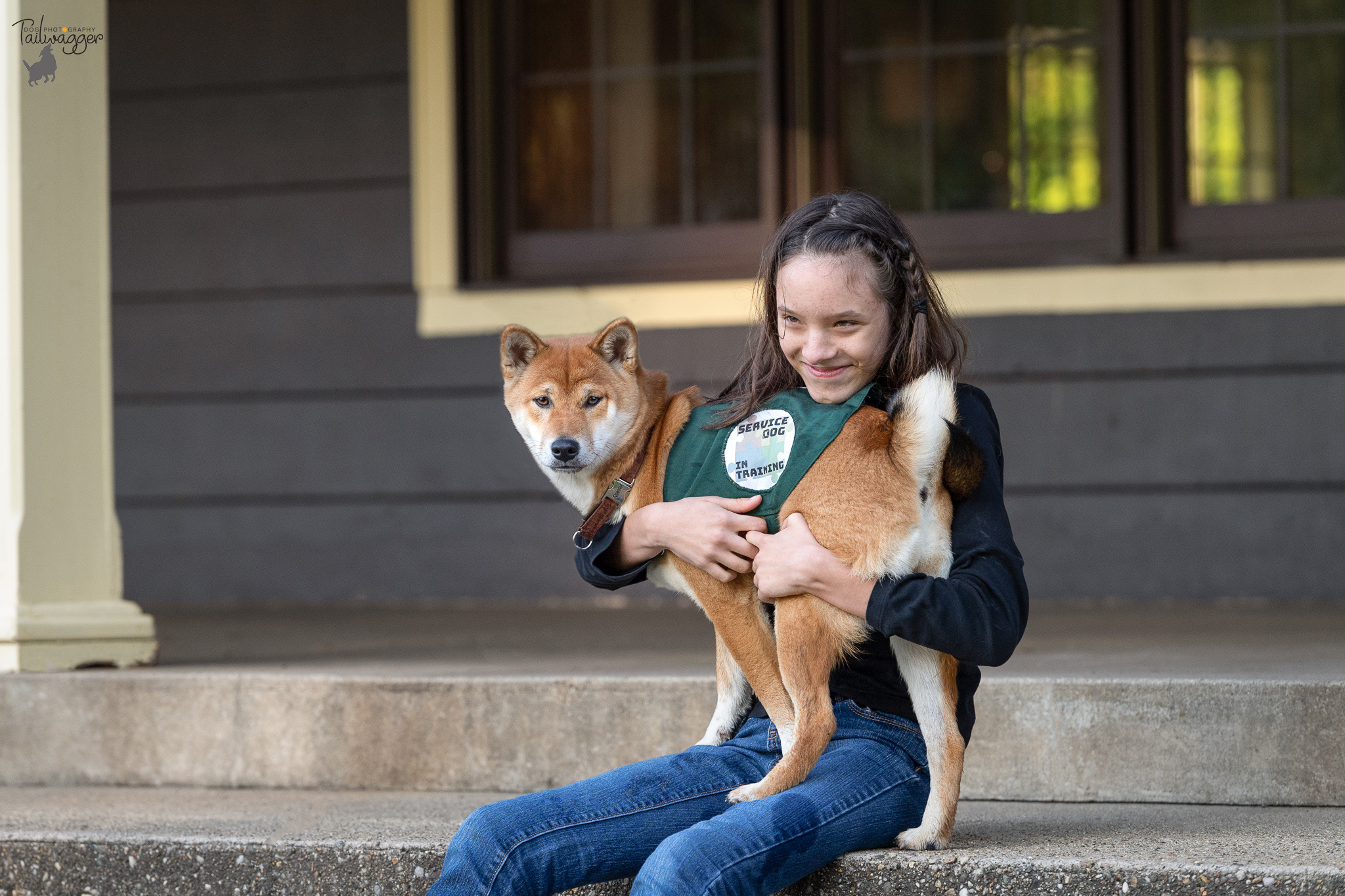 A Shiba Inu service dog in training sits on the lap of a young woman at Johnson Park in Grand Rapids, MI.
