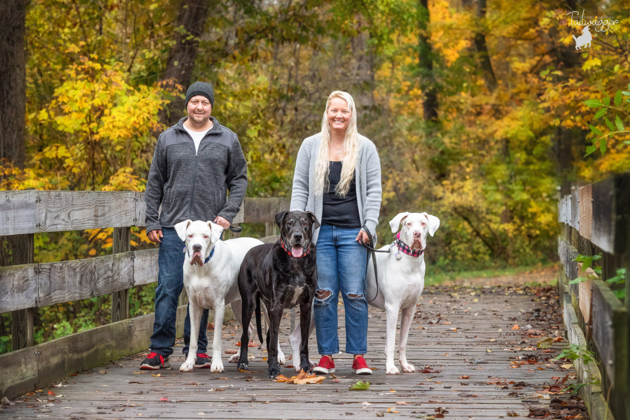 A family of Great Danes and their Mom and Dad pose for a family portrait on a bridge at a West Michigan park.