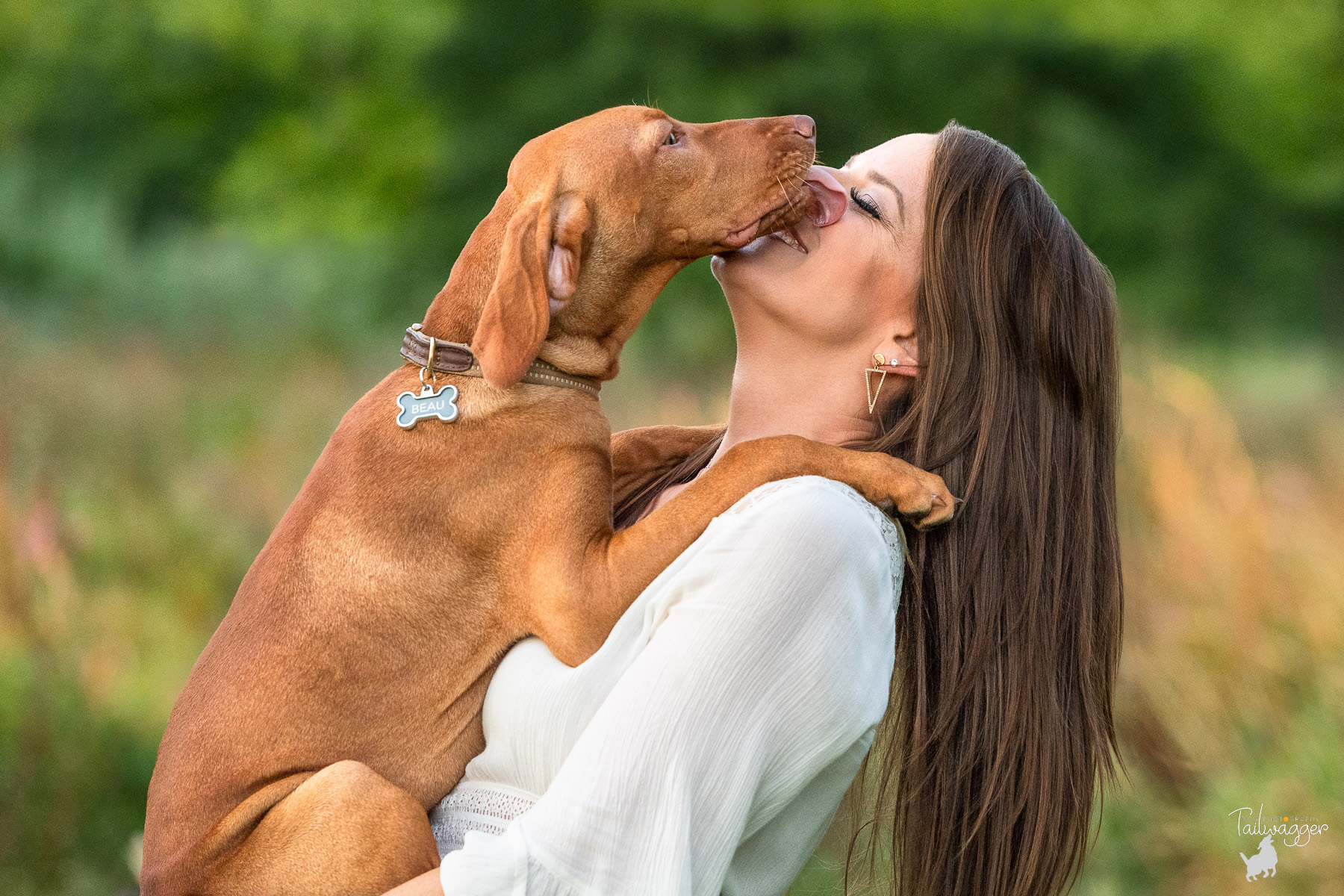 A male Vizsla puppy kisses his Mom at the park in Grand Rapids, MI.